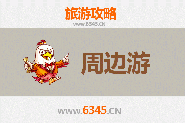 保亭周边游全攻略：雨林探秘与黎苗风情体验