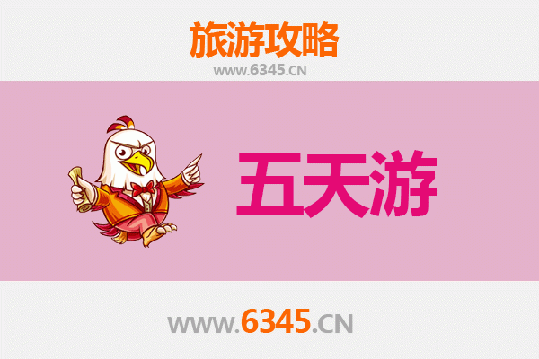 保亭五天四夜深度游攻略：雨林探秘与黎苗文化体验