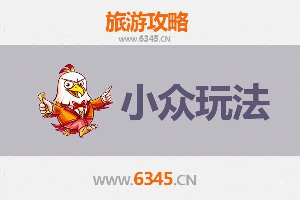 保亭毛感乡秘境探索：雨林溯溪与黎苗文化深度体验